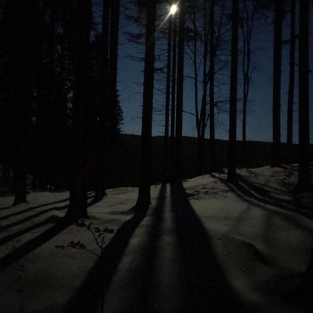 Dziewiecsil-Domek W Gorach Дужники Здрой Екстериор снимка